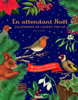 En attendant Noël : calendrier de l'avent pop-up
