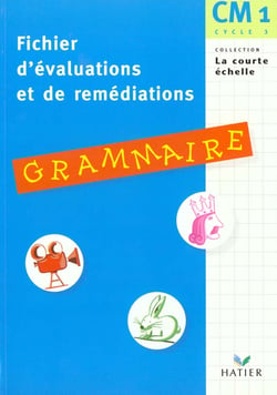 Fichier d'evaluation et de remediation en grammaire - cm1