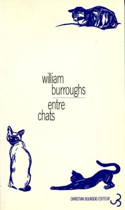 Entre chats