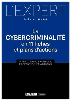 La cybercriminalité en 11 fiches et plans d'actions - infractions, exemples, prévention et actions