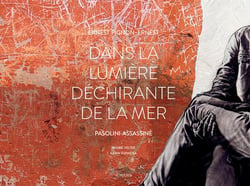 Dans la lumiere dechirante de la mer - pasolini assassine