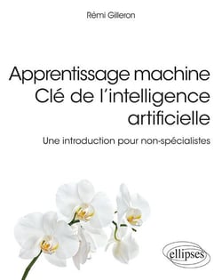 Apprentissage machine - Clé de l'intelligence artificielle - Une introduction pour non-spécialistes