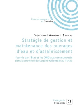 Stratégie de gestion et maintenance des ouvrages d'eau et d'assainissement