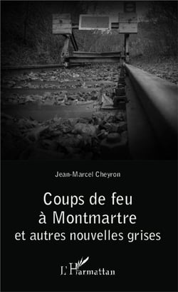 Coups de feu à Montmartre et autres nouvelles grises