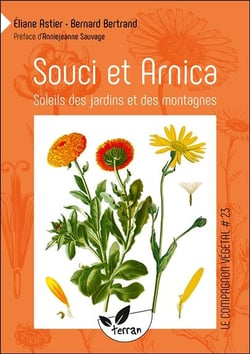 Souci et arnica - soleils des jardins et des montagnes