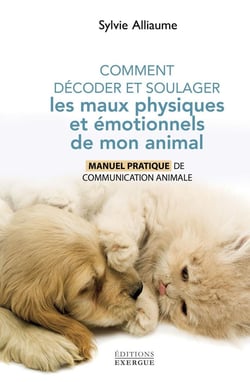 Comment comprendre et soulager les maux physiques et émotionnels de mon animal