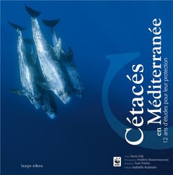 Cétacés en méditerranée - 12 ans d'études pour leur protection
