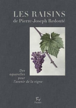 Les raisins de Pierre-Joseph Redouté : des aquarelles pour l'avenir de la vigne