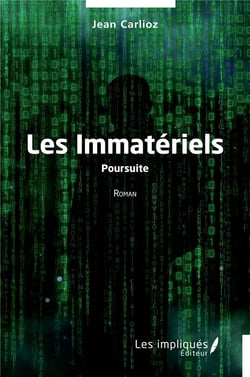 Les Immatériels : Poursuite