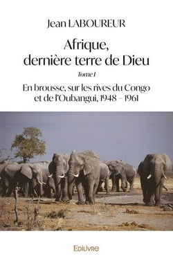 Afrique, derniere terre de dieu - t01 - afrique, derniere terre de dieu - en brousse, sur les rives