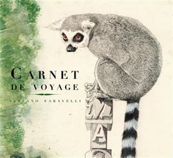 Carnet de voyage - raton laveur