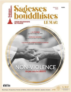 La non-violence un pas vers la liberté