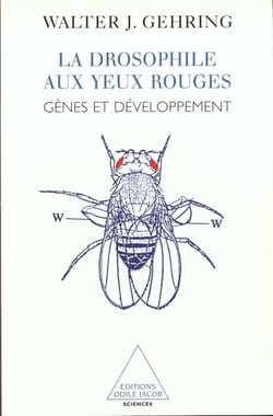 La drosophile aux yeux rouges - genes et developpement