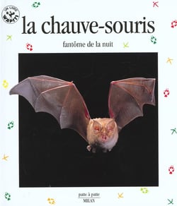 La chauve-souris - fantome de la nuit