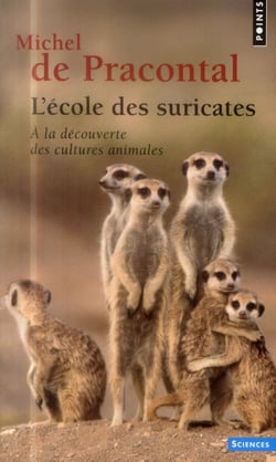 L'école des suricates - à la découverte des cultures animales