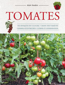 Tomates : techniques de culture / choix des variétés / conseils d'entretien / cuisine et conservation
