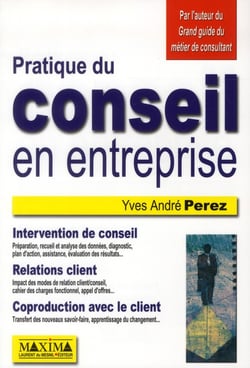 Pratique du conseil en entreprise
