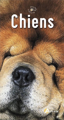 Chiens