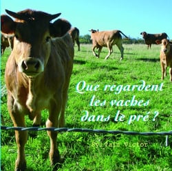 Que regardent les vaches dans le pré ?