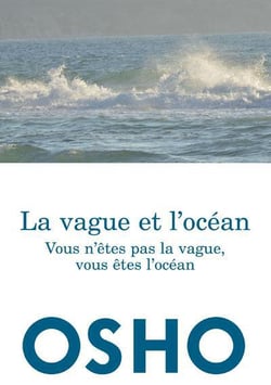 La vague et l'océan - vous n'êtes pas la vague, vous êtes l'océan