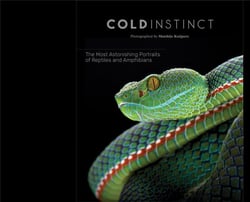 Matthijs kuijpers cold instinct