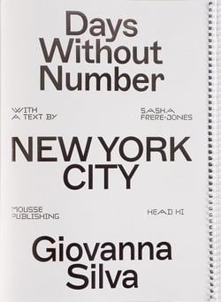 Days Without Number : New York City