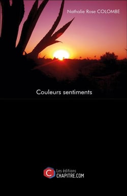 Couleurs sentiments