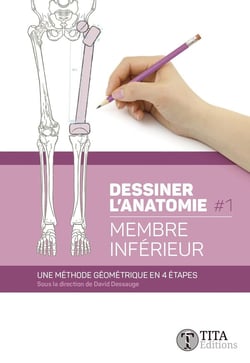 Dessiner l'anatomie 1 - Membre inférieur : Une méthode géométrique en 4 étapes