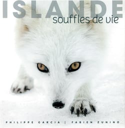 Islande - souffles de vie