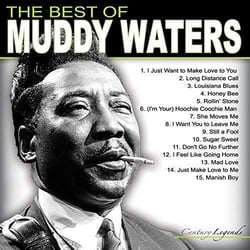 The best of Muddy Waters