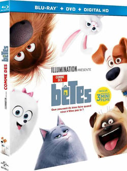 Comme des bêtes