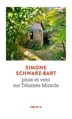 Pluie et vent sur Télumée Miracle