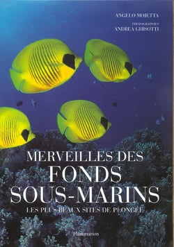 Merveilles des fonds sous-marins - les plus beaux sites de plongee