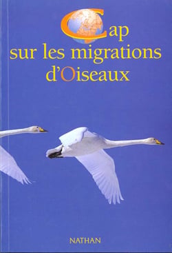 Cap sur les migrations d'oiseaux