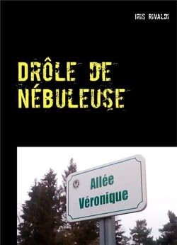 Drôle de nébuleuse - les aventures du commissaire paul berger