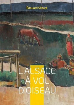 L'Alsace à vol d'oiseau : Voyage fascinant au coeur de l'identité alsacienne - histoire, traditions et paysages d'une région unique