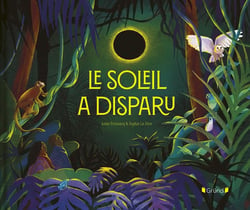 Le soleil a disparu