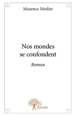 Nos mondes se confondent - roman