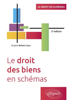 Le droit des biens en schémas : A jour au 15 avril 2024 (2e édition)