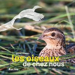 Les oiseaux de chez nous (2e édition)
