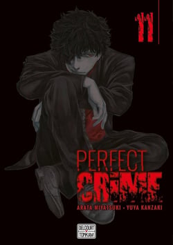 Perfect crime T11