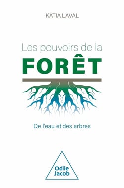 Les Pouvoirs de la forêt : De l'eau et des arbres