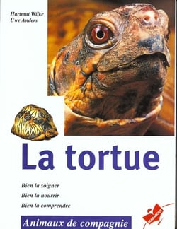 La tortue