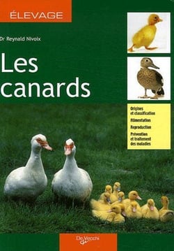 Les canards