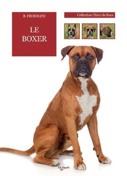 Le boxer