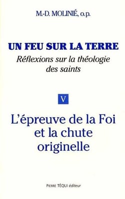 Un feu sur la terre - Tome 5 : L'épreuve de la foi et la chute originelle
