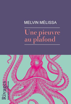 Une pieuvre au plafond