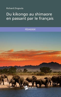 Du kikongo au shimaore en passant par le français