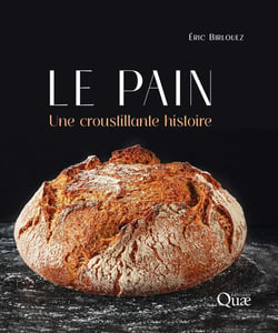 Le pain : Une croustillante histoire