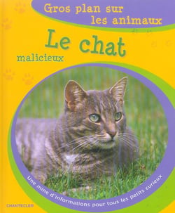 Gros plan sur les animaux 07. le chat malicieux